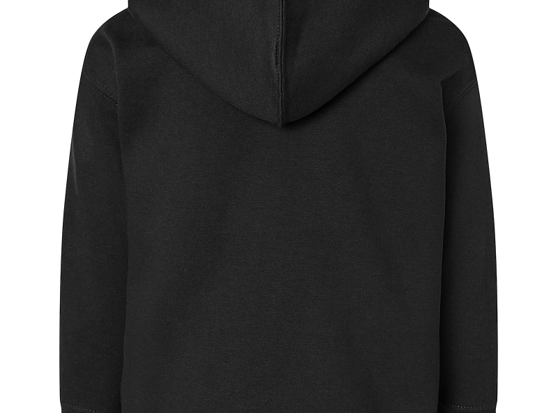 Black Rabbit Skins toddler hoodie, back view